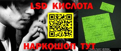 прущие грибы Будённовск