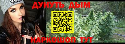 прущие грибы Будённовск